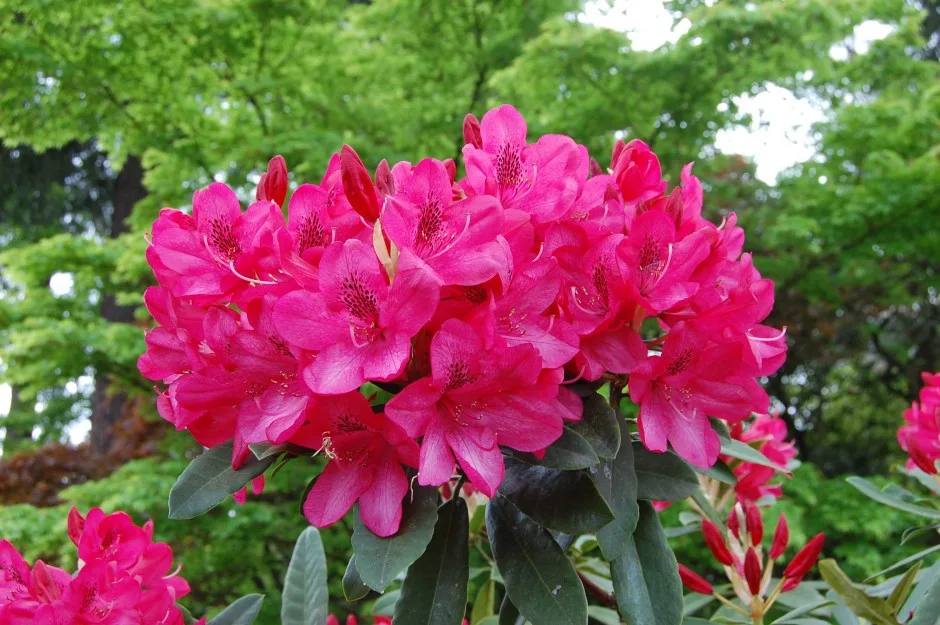 Part 1 In RTW Planning