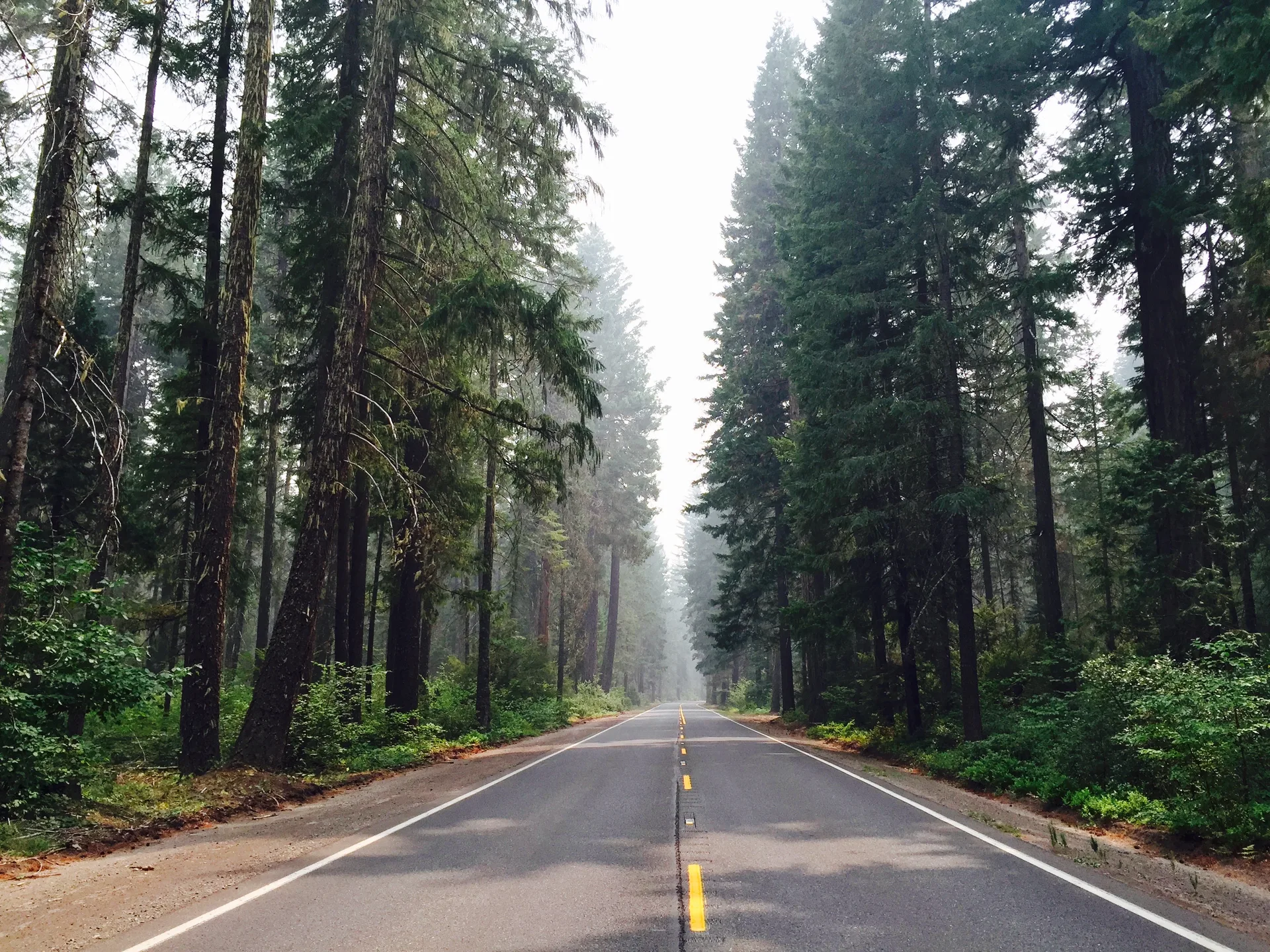 Saying Goodbye To Oregon