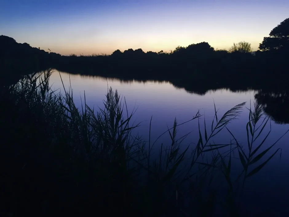 East Cape Adventures