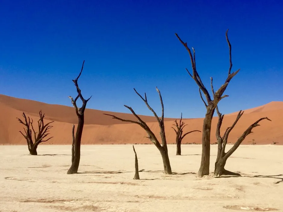 The Namibian Desert