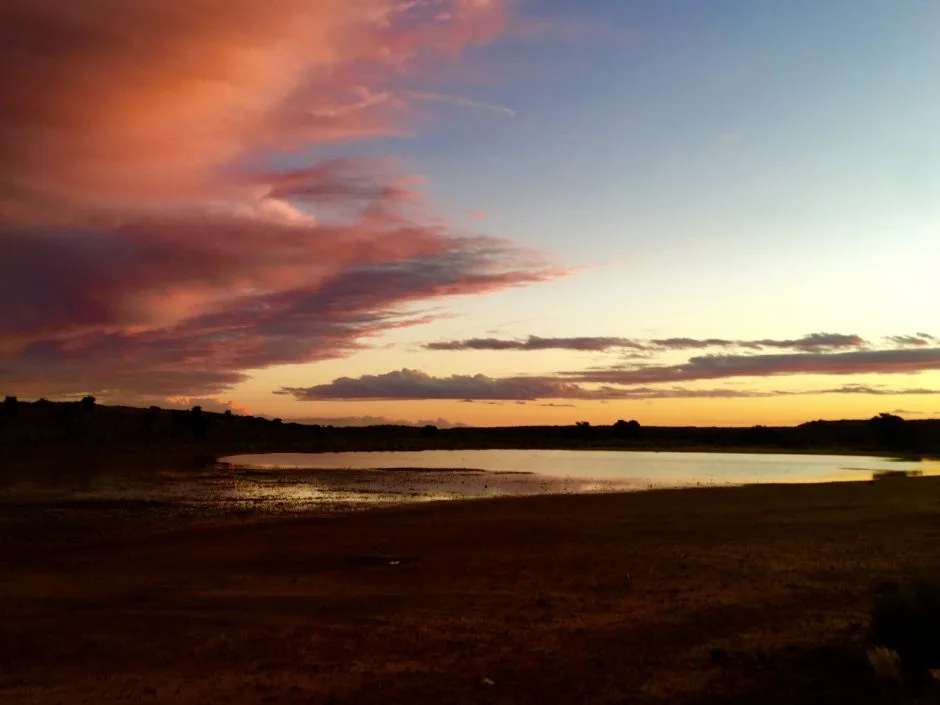 In And Out of South Africa