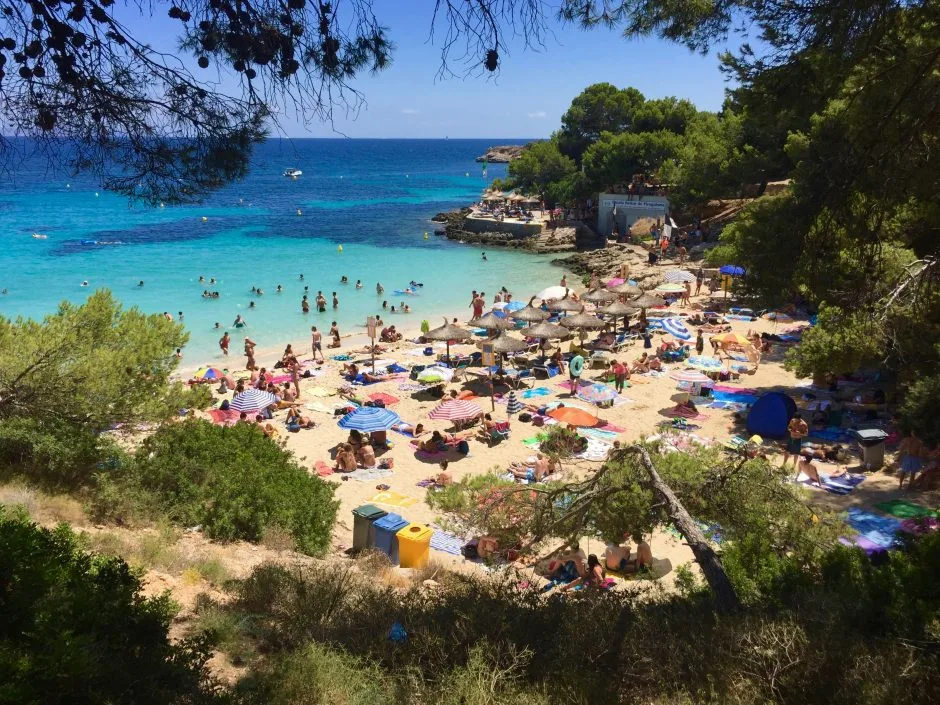 The Magic of Mallorca